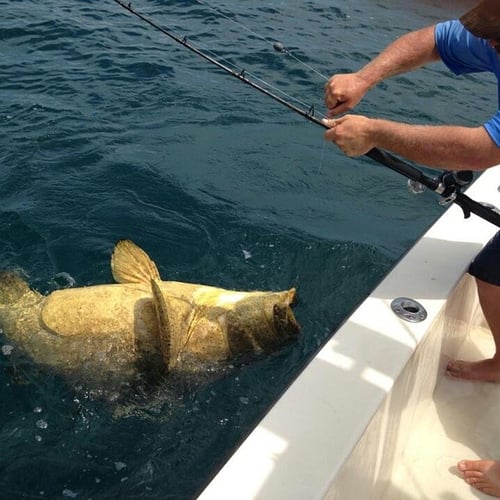 Clearwater Offshore Fishing In Clearwater