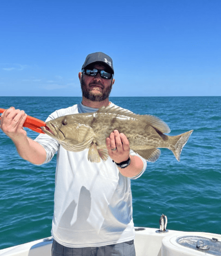 Clearwater Offshore Fishing In Clearwater