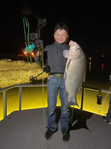 Central Texas Bowfishing In Liberty Hill