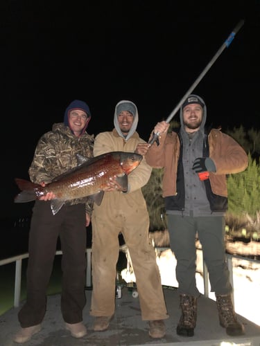 Central Texas Bowfishing In Liberty Hill