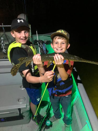 Central Texas Bowfishing In Liberty Hill