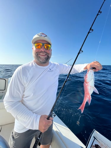 Offshore Big Game Trip In Port Orange