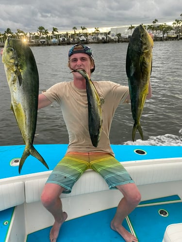 Offshore Big Game Trip In Port Orange