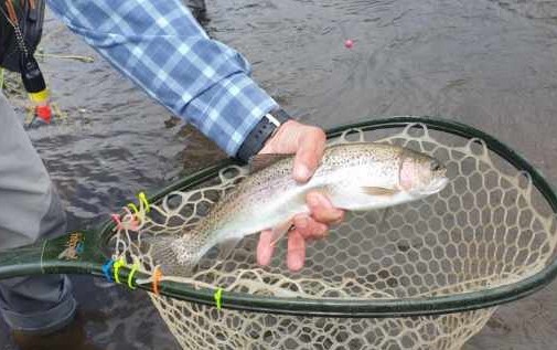 Women's Only Fly Fishing Trip in Littleton