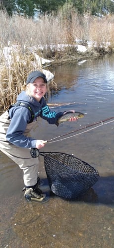 Women's Only Fly Fishing Trip In Littleton