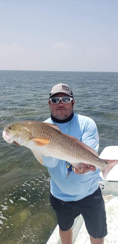 Rod-bending Action in SPI in South Padre Island