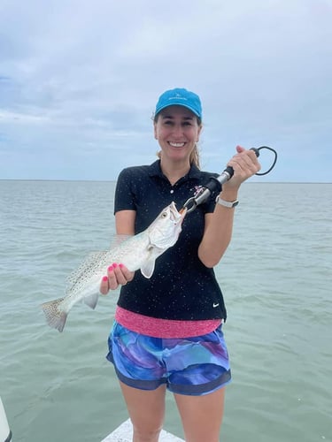 Rod-bending Action in SPI in South Padre Island
