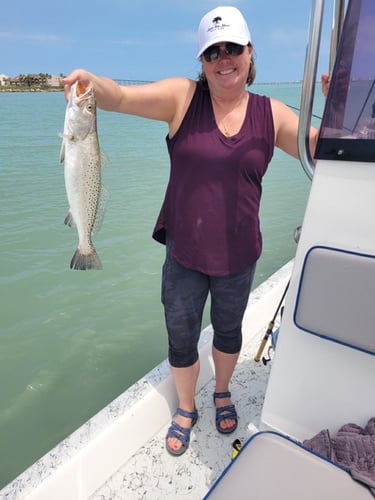 Rod-bending Action in SPI in South Padre Island