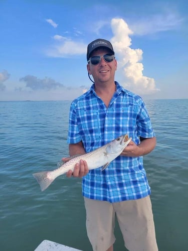 Rod-bending Action in SPI in South Padre Island