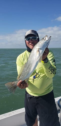 Rod-bending Action in SPI in South Padre Island