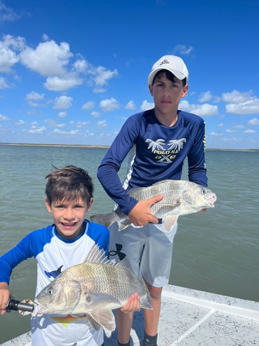 Rod-bending Action in SPI in South Padre Island
