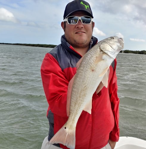 Rod-bending Action in SPI in South Padre Island