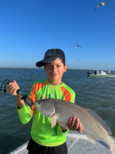 Rod-bending Action in SPI in South Padre Island