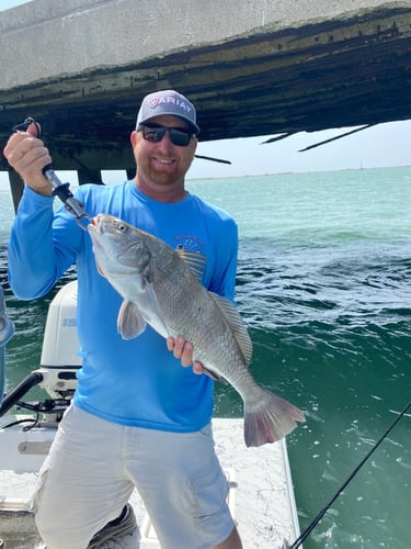 Rod-Bending Action In SPI In South Padre Island