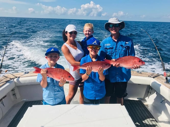 Red Snapper Trips In Orange Beach