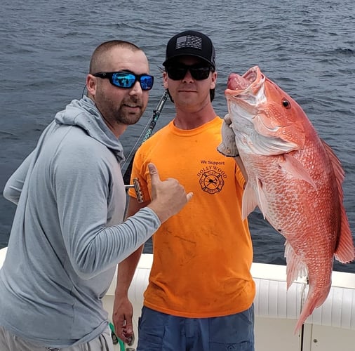 Red Snapper Trips In Orange Beach