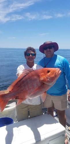 Red Snapper Trips In Orange Beach