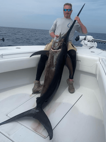 Swordfishing The Wall Off Key West In Key West