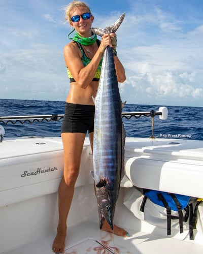 Dry Tortugas Expedition In Key West