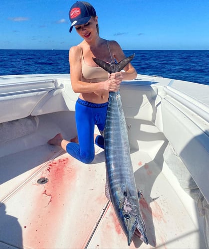 Dry Tortugas Expedition In Key West