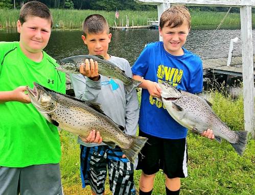 Lake Ontario Brown Trout Charter In New York