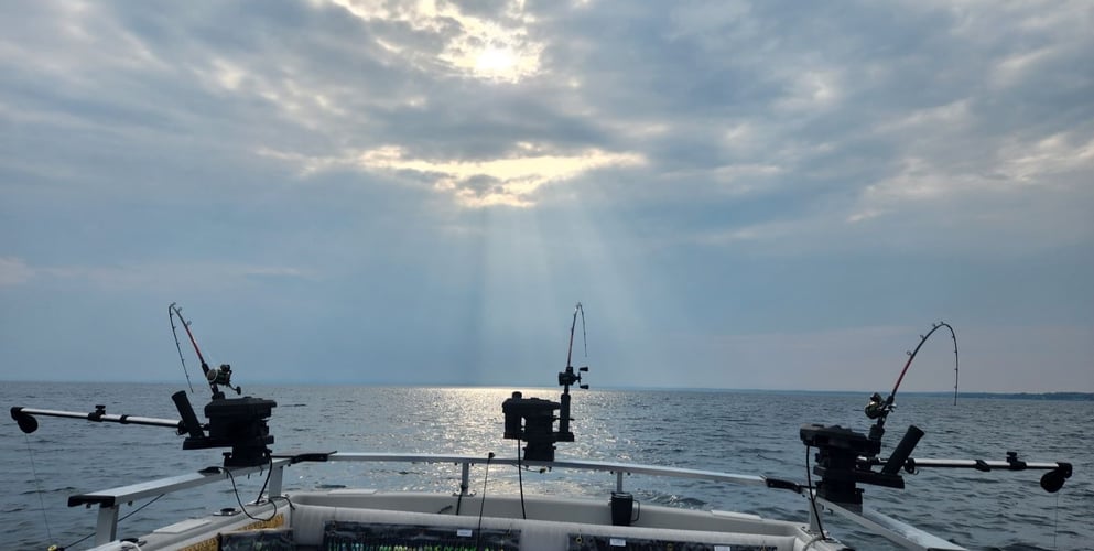 Lake Ontario Brown Trout Charter In New York