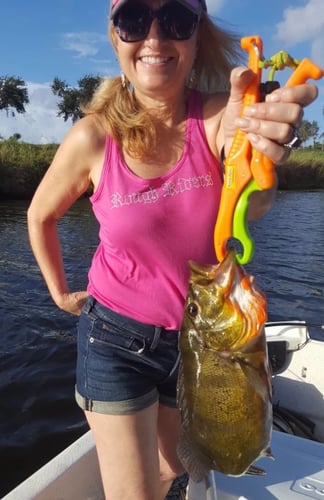 Peacock Bass Trophy Hunt In Delray Beach