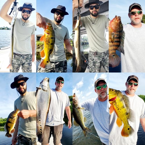 Peacock Bass Trophy Hunt In Delray Beach