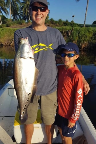 Peacock Bass Trophy Hunt In Delray Beach