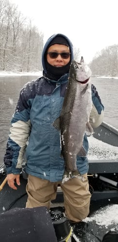 Salmon River Steelhead Trip In New York