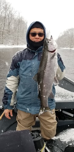 Steelhead Drift Boat Trip Salmon River In Mexico