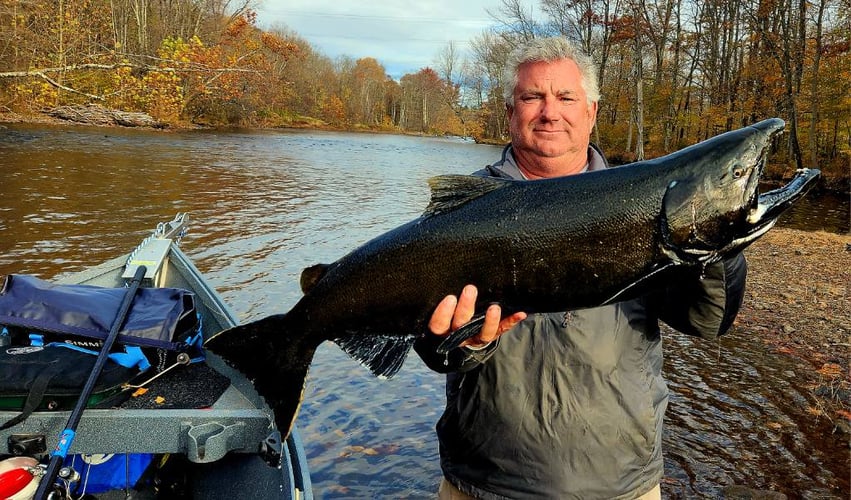 Salmon River Steelhead Trip In New York