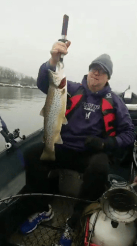 Salmon River Steelhead Trip In New York