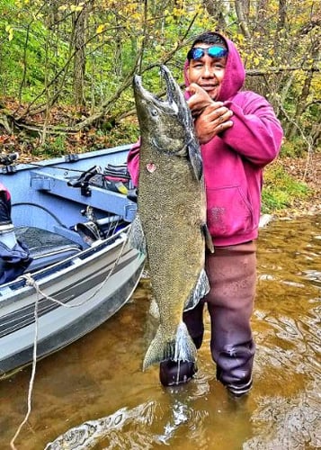 Steelhead Drift Boat Trip Salmon River In Mexico