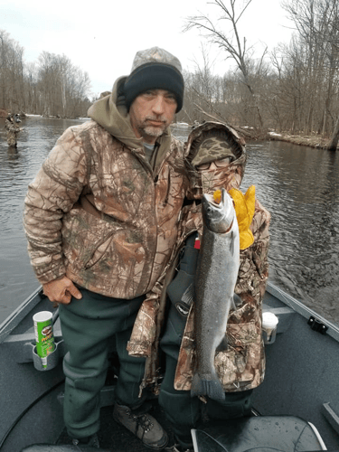 Steelhead Drift Boat Trip Salmon River In Mexico