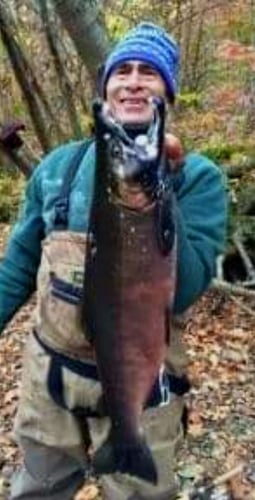 Salmon River Wade Trip In New York