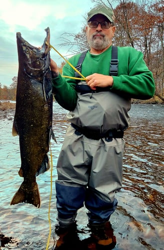 Salmon River Wade Trip In New York