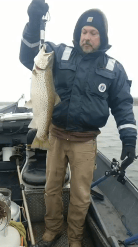 Salmon River Wade Trip In New York