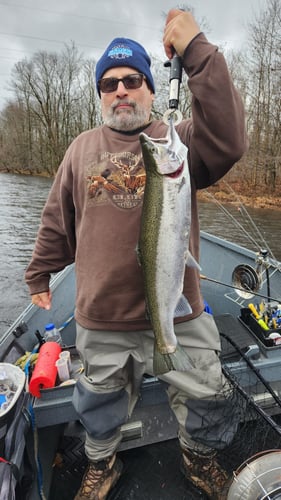 Salmon River Wade Trip In New York