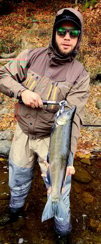 Salmon River Wade Trip In New York