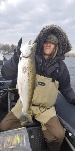 Salmon River Wade Trip In New York