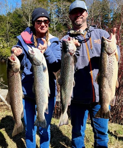 Salmon River Wade Trip In New York