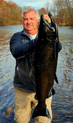Salmon River Wade Trip In New York