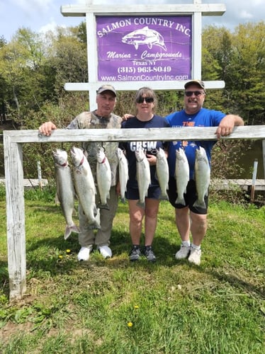 Salmon River Wade Trip In New York