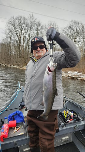 Salmon River Wade Trip In New York