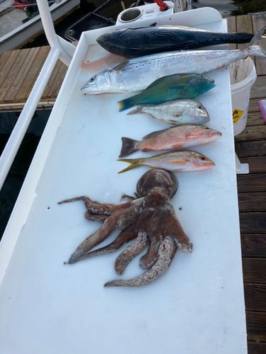 FL Keys Fishing Fun in Marathon