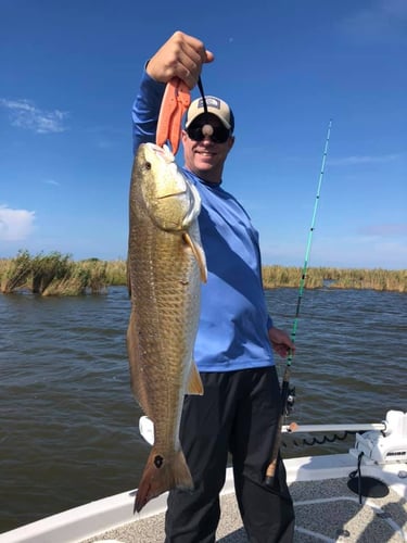 "Cajun Classic" Redfish Trip In Buras