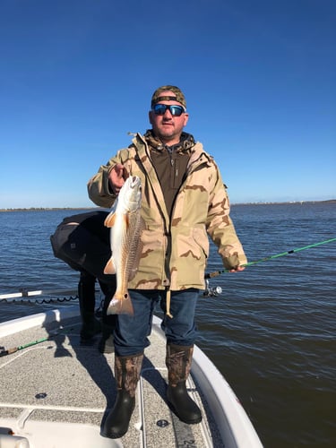 "Cajun Classic" Redfish Trip In Buras