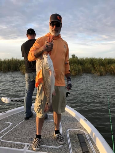 "Cajun Classic" Redfish Trip In Buras