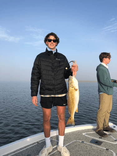 "Cajun Classic" Redfish Trip In Buras